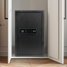 Wi-Fi Safes