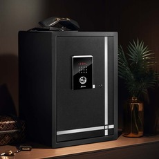 Fingerprint Safes